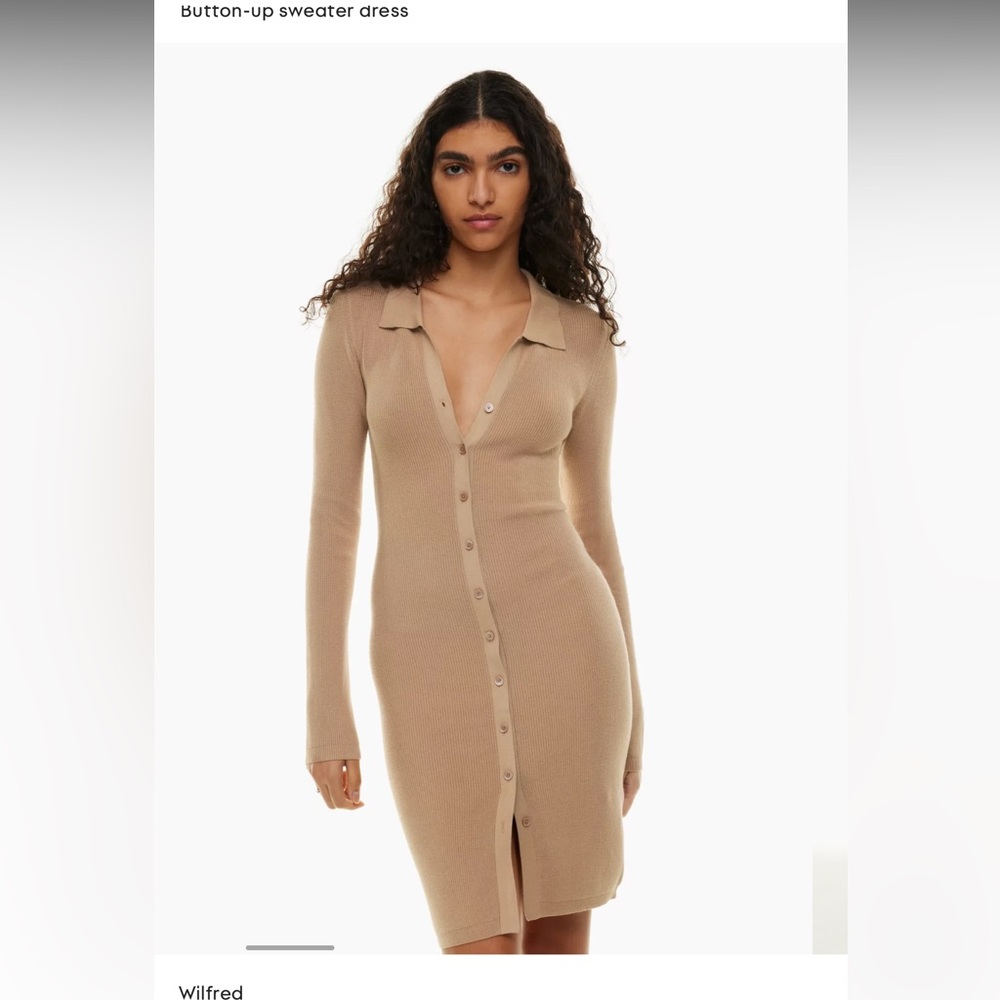 Aritzia Cove Sweater Dress